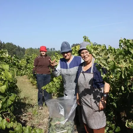 Quinta No Pinhal Frühstückspension 3*