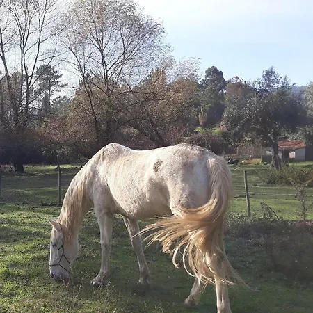 Bed & Breakfast Quinta No Pinhal 3*