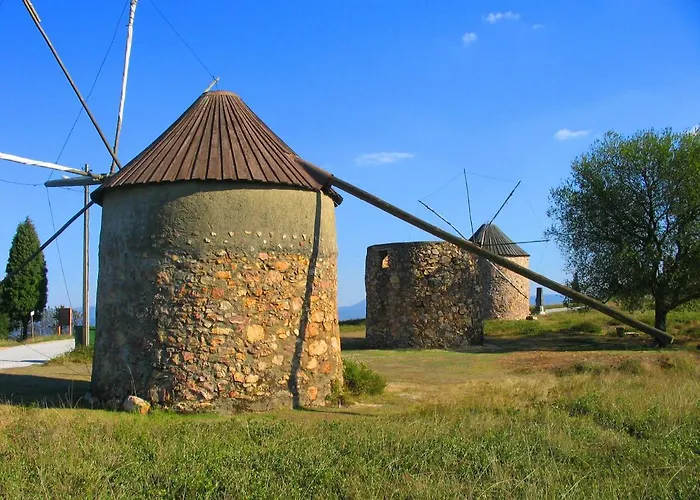 Bed & Breakfast Quinta No Pinhal