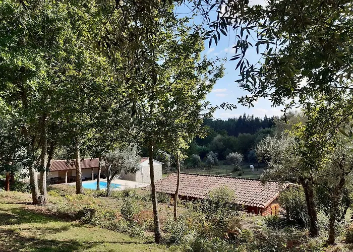 Quinta No Pinhal Vila Nova de Poiares