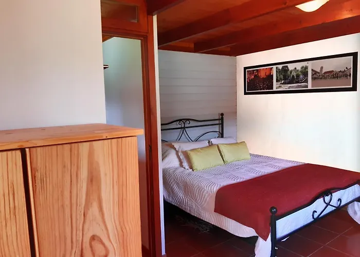 Bed & Breakfast Quinta No Pinhal